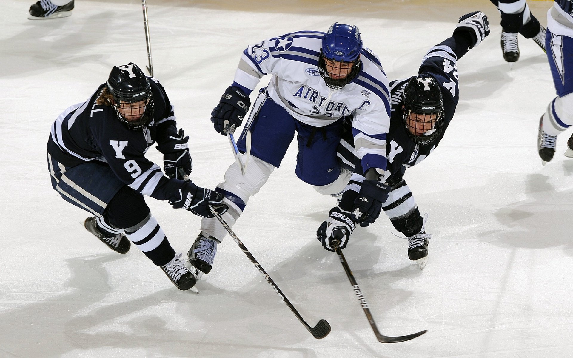 从伤病到重生,运动员康复之路的艰辛与荣耀